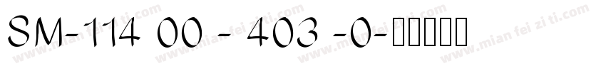 SM-114 00 - 403 -0字体转换